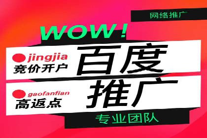 SEM托管公司案例分析：实战技巧全解析